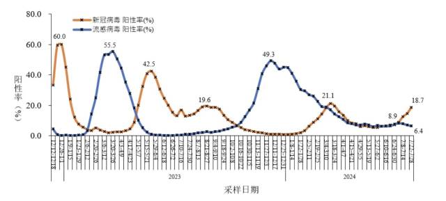 全国哨点医院流感样病例新冠和流感病毒阳性率变化趋势。（来源：中疾控欧洲杯足球官网）