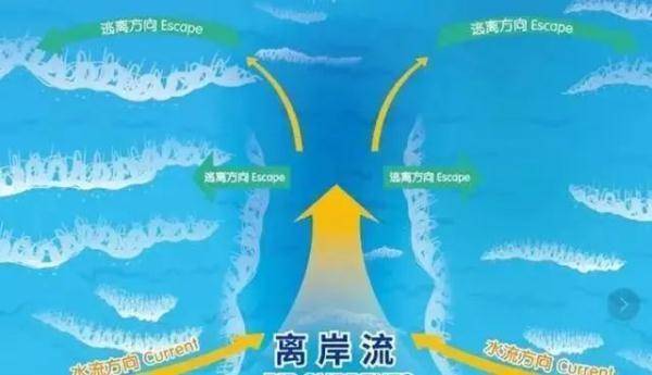 图源：洋山港海事局