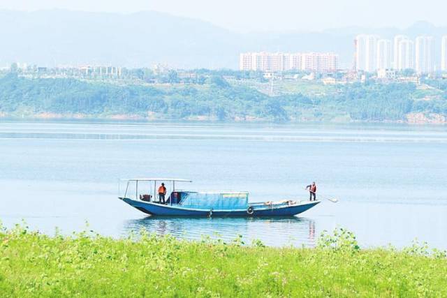 湖北十堰郧阳区的志愿者在打捞漂浮物。